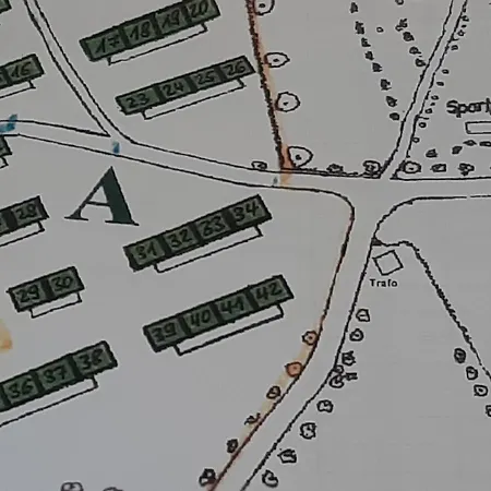 Federgras Middelhagen